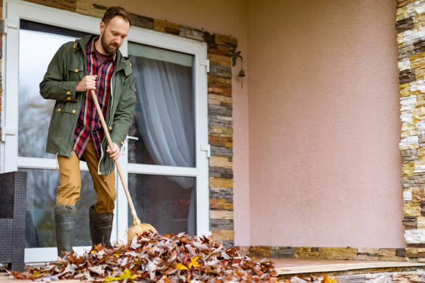 Best Trash Removal Near Me  in Westmont, IL